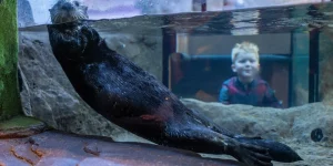 National Sea Life Centre Entrance Ticket