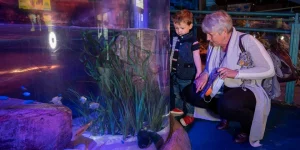 National Sea Life Centre Entrance Ticket