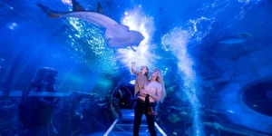 National Sea Life Centre Entrance Ticket