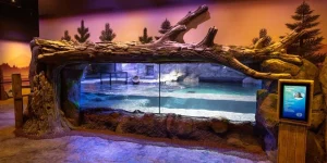 National Sea Life Centre Entrance Ticket